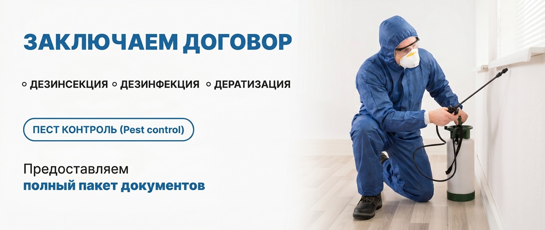 Заключить договор на дезинсекцию, дезинфекцию, дератизацию